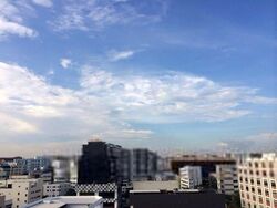 Sky Green (D13), Condominium #536188451